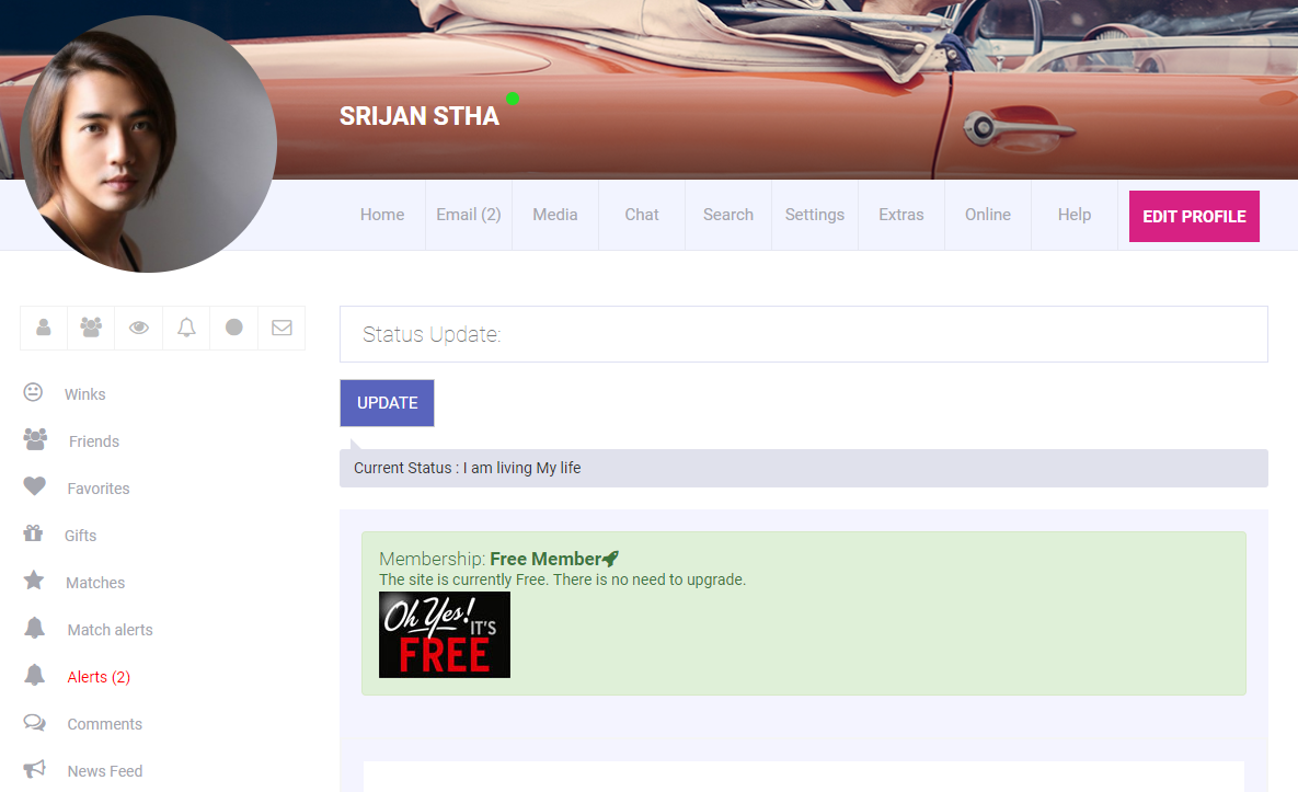 WordPress plugin dating